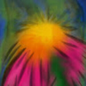 Meet your Posher, Nora